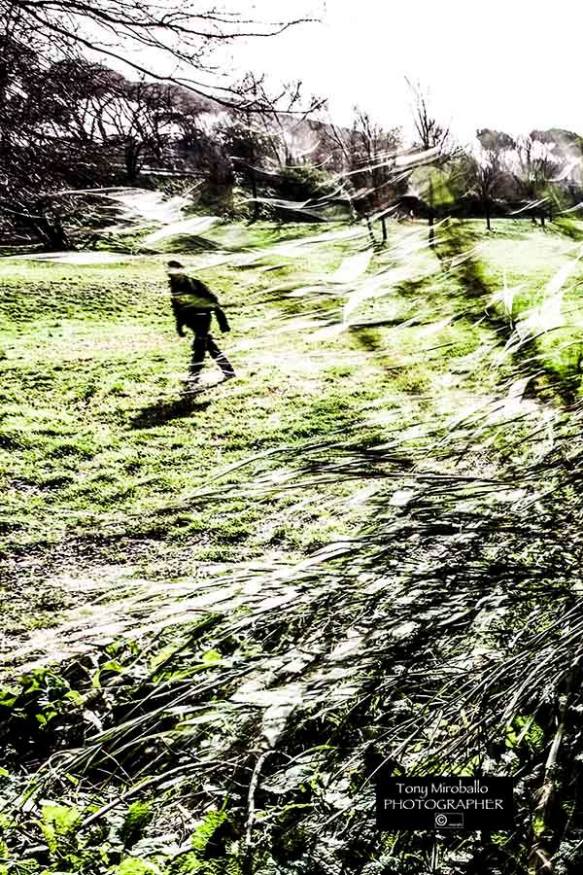 10392472_787163461349603_180954104342249085_n