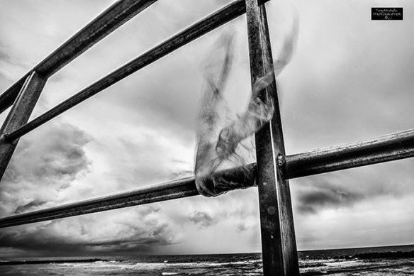 11021227_813606885371927_4446599065235243153_n