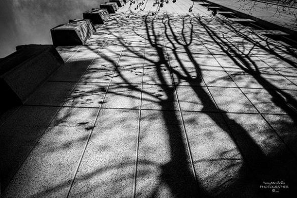 10665870_832596220139660_5265015897471820424_n